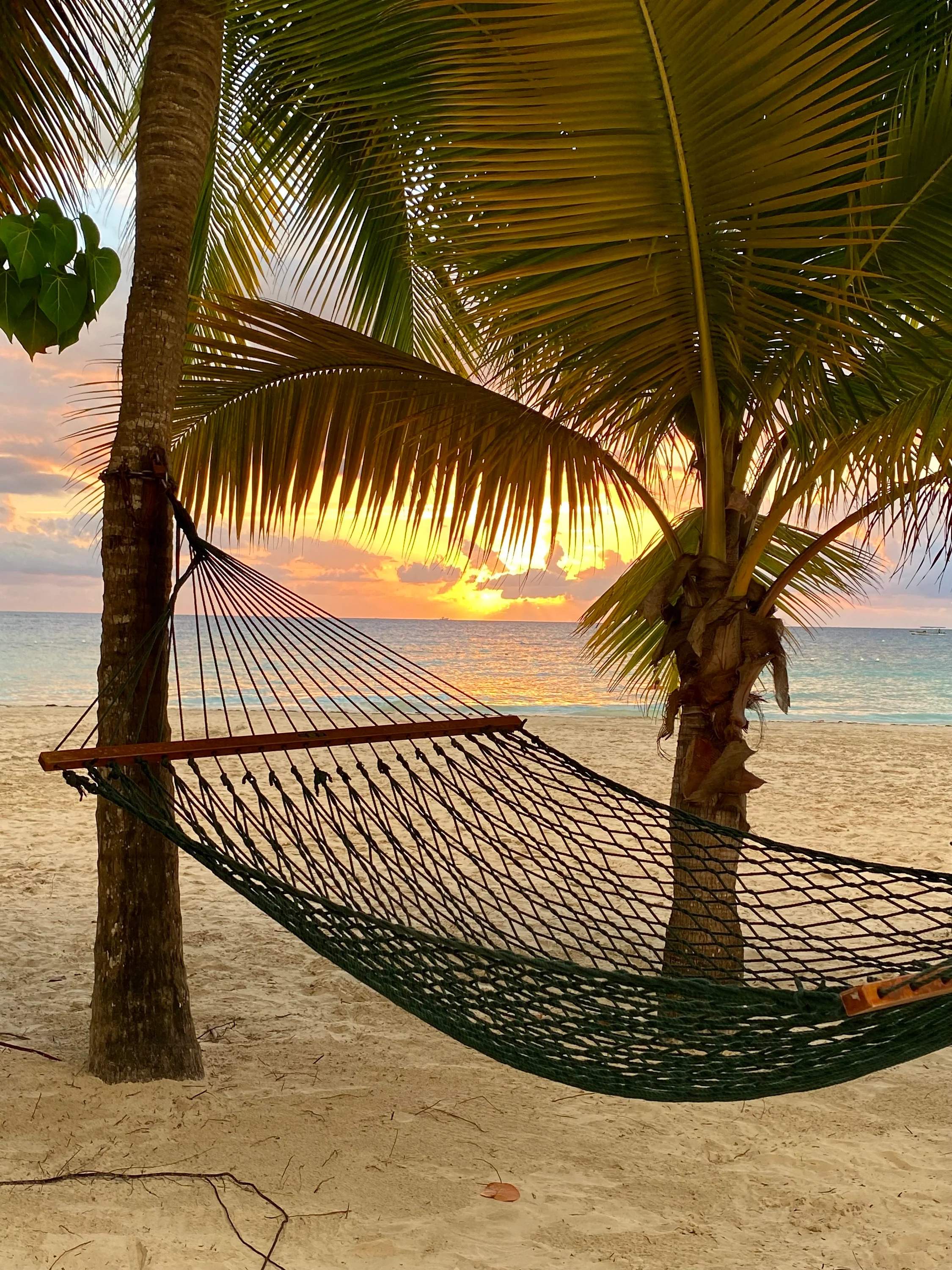 비치 해먹 트레일 (Beach Hammock Trail)